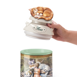 4 Cats Canisters With Freshness Seal